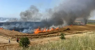 İpsala'da 110 dönüm ekili buğday yandı  150w